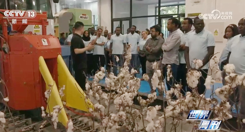 W020231024358898532497 中国·太阳成集团tyc234cc(Macau)股份有限公司-Officialwebsite